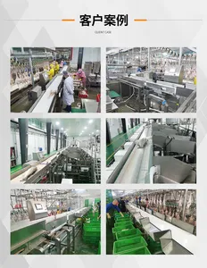 Automatic Weight Sorting Machine /Automatic Sorting Machine