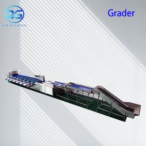 Intelligent Vegetable Sorting Machine by Size/Weight/Color Sorting