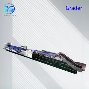 Intelligent Vegetable Sorting Machine by Size/Weight/Color Sorting