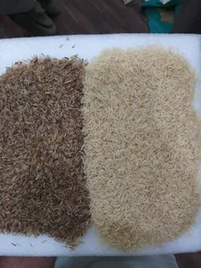 Optical RGB Camera Rice Color Sorter Machine Automatic Grain Sorting Machine for Rice Mill