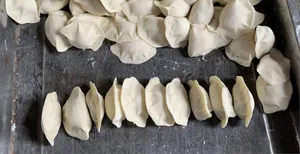 China Automatic Samosa/Spring Roll/Ravioli/Dumpling Making Machine for Restaurant