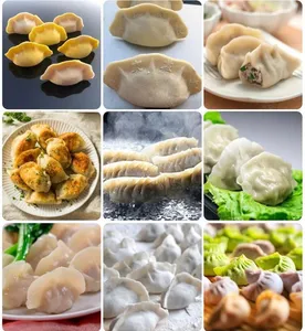 China Automatic Samosa/Spring Roll/Ravioli/Dumpling Making Machine for Restaurant