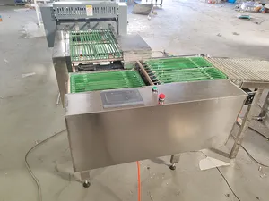 Spring Roll Wrapper Machine Spring Pancake Machine Paper Cutting and Feeding Production Line