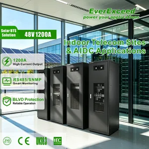 Hot-Swappable -48VDC Telecom Power System Flexible Indoor Telecom Power System for Continuous Telecom Backup Power System