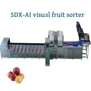 Tomato Sorting Machine, Automatic Inspection Machine, Optical Sorter, Color Sorting Machine