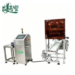 Ai Visual Carton Code Inspection Machine with Optical Sorting ERP Integration Error Code Marking Audio Alarm Automatic Defect Report Export
