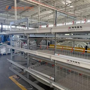 High Durability Anti-Rust Stable Feeding Automatic Water Broiler Rearing Cage System
