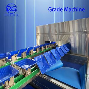 Potato Optical Sorter Multi-Function Sorting by Defects, Shape & Color