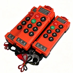 Industrial Crane Control System with 6 Button Remote and IP65 Protection