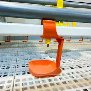 Poultry Equipment Innovative Fully Automatic Poultry Drinking Water Line System