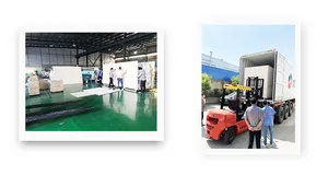 2021 Automatic Color Optical Plastic Sorting Machine