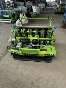 Garlic Sorting Machine Garlic Cracking Machine Garlic Splitting and Sorting Machine Automatic Garlic Separator Garlic Planting Machine