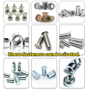 Pneumatic Self Clinching Riveting Machine Fastener Pem Insert Machine