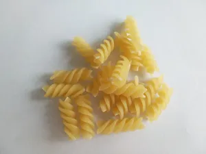 Spring Shape Double Screw Extrusion Making Machine