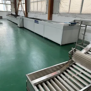 Dragon Fruit Sorting Machine Mango Fruit Computerized Weight Sorting Machine
