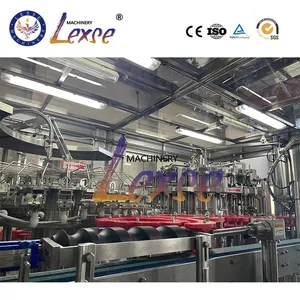 Customizable Auto-Capping Craft Beer Filling Machine Red Wine Bottling Packing Line