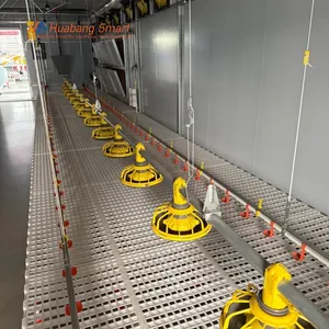 Comprehensive Poultry Farm Automatic Feeding Line System