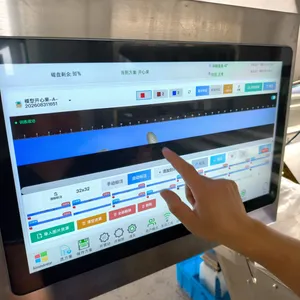 Intelligent Optical Visual Color Sorter Machine for Rice Nuts Walnuts Grains