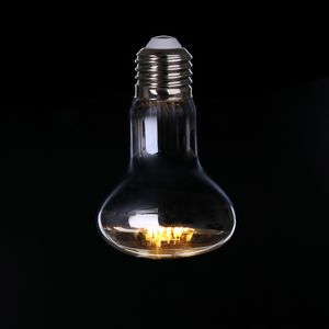 R50 R63 R80 R95 R125 LED Filament Reflector Mirror Spot Light 2W 4W 6W LED Filament Light
