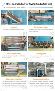 Fully Automatic Fish Shrimp Fryer Machine Customized Continuous Processing Frying Machine