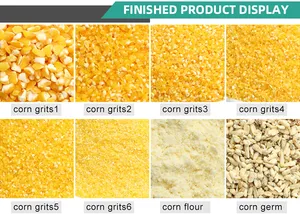 20 to 50 Ton a Day Fully Automatic Complete Line Rice Milling Machine Rice Processing Complete Plant Rice Miller