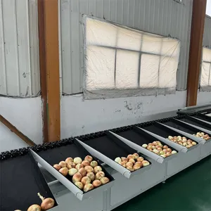 Dragon Fruit Sorting Machine Mango Fruit Computerized Weight Sorting Machine