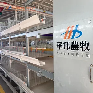 High Durability Anti-Rust Stable Feeding Automatic Water Broiler Rearing Cage System