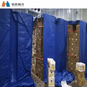 Modular Banana Ripening Room with Automatic Ethylene Injection System