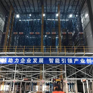 Asrs Warehouse Racking System Heavy Duty 4 Way Pallet Rack for Cold Room Storage Racks Asrs Racks System