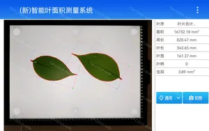 New Intelligent Leaf Area Measurement System