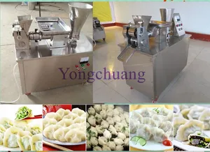 Multifunctional Spring Roll Machine with High Quality