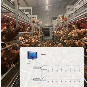 Stable Operation Duck Farming Anti-Slip Flooring Multi-Level Multilayer Broiler Falt Raising System