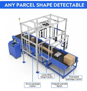 Factory 6 Sides Barcode Scanning Machine Logistic Warehouse Parcel Dws Dimension Weigh Scan Dynamic Automatic Sorting Machine