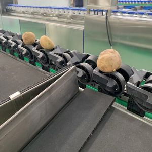 Onion Processing Machine, Automatic Inspection Machine for Onion appearance Defects