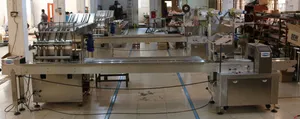 Automatic Feeding with Packing Machine Loader Packing Machine