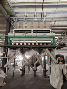 Wenyao New Model 10 Chute Color Selection Machine Raisin Color Sorter