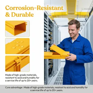 Flexible Fiber Optic Raceway System Custom Length Available