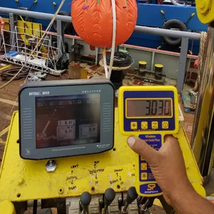 Crane Safe Load Indicator Mipeg 2000 Replacement Load Monitoring System