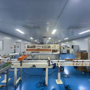 Customized Convenient Automatic Packaging Machine Multi-Function Packing Machine