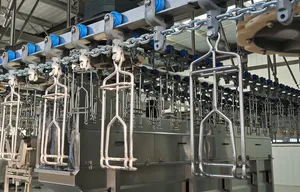 Advanced Poultry Processing System for Automated Chicken Slaughter