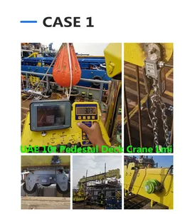 Crane Safe Load Indicator Mipeg 2000 Replacement Load Monitoring System