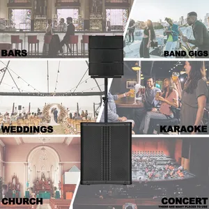 2000W 15" Vertical Active Array Line 2 Channel 1.1PA System
