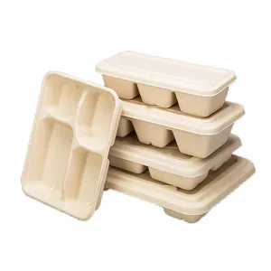 Biologisch abbaubare Papierpulpe-Lunchbox Zuckerrohr-Bagasse Lebensmittelbehälter Einweg-Geschirr