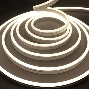 LED-Lichtstreifen/LED-Neonlichter/LED-Streifenlicht/LED-RGB-Seil für LED-Dekoration
