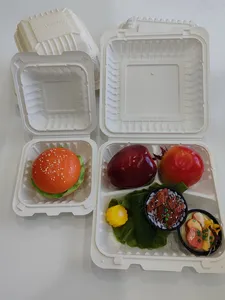 Kompostierbare Cornstarch-Lebensmittelbehälter und Lunchboxen für Fast Food zum Mitnehmen, Einweggeschirr