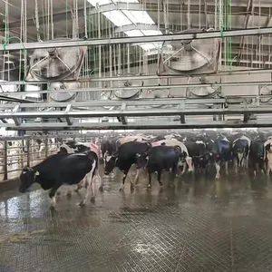 Großes Scheunenautomatisches Wasserkühlsprühsystem