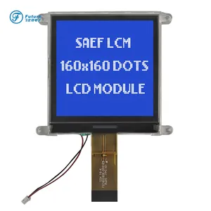 Módulo de Display Gráfico LCD FPC FSTN Cog Personalizado Futuro