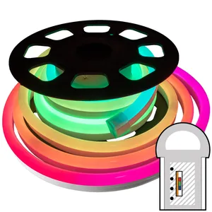 33FT 24V Traumfarbe RGB Farbwechselnde Verfolgungs-SMD LED Neon Seillicht