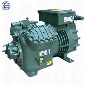 Bitze R semi-hermetischer Kolbenkompressor R404A für Tiefkühlräume