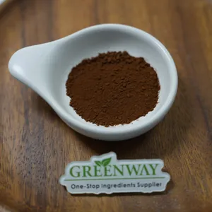 Bio Reine Bulk Ganoderma Sporenextrakt Ganoderma Sporenpulver